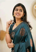 Alinea Banarasi Saree
