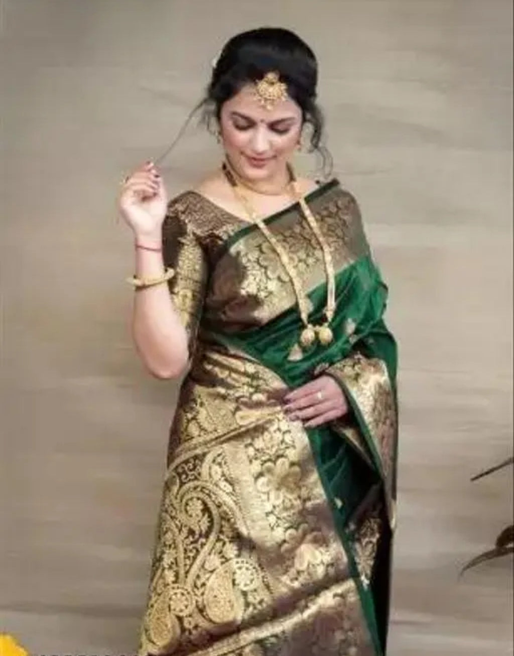 Sarvagny Clothing Woven Banarasi Jacquard Saree