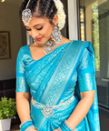 Banarasi Pure Silk Saree